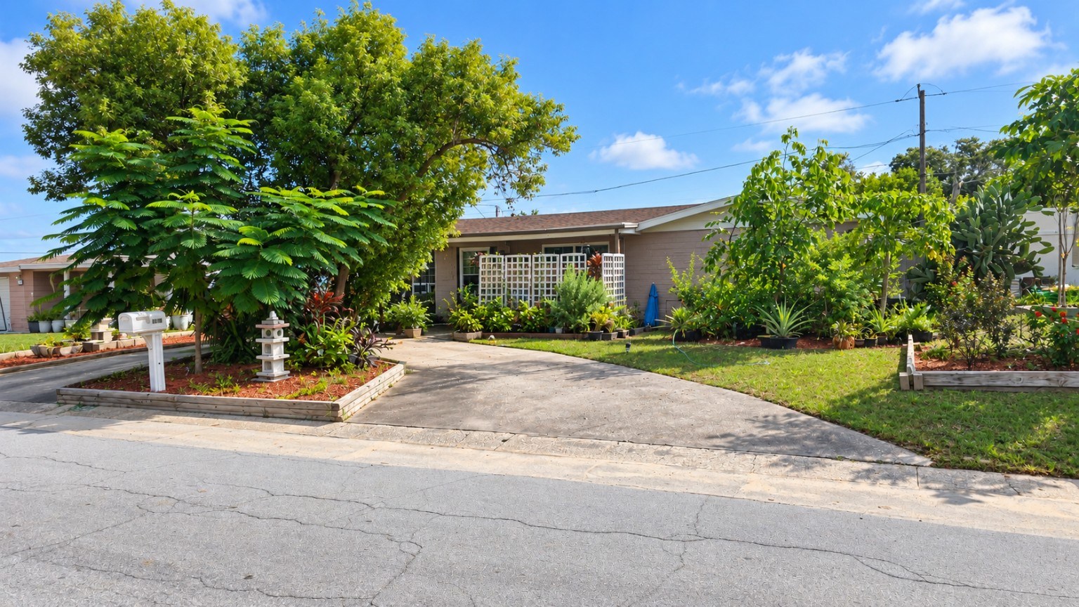 Tropical landscaping and the sunny front entrance
